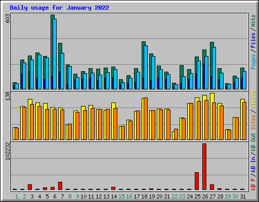 Daily usage for January 2022