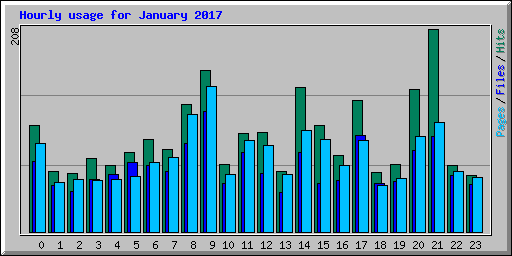 Hourly usage for January 2017