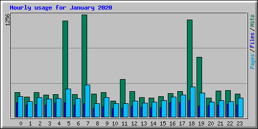 Hourly usage for January 2020