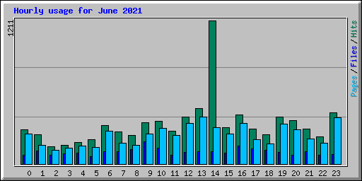 Hourly usage for June 2021