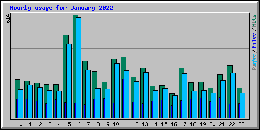 Hourly usage for January 2022