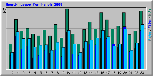 Hourly usage for March 2009