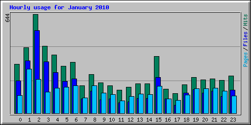 Hourly usage for January 2010