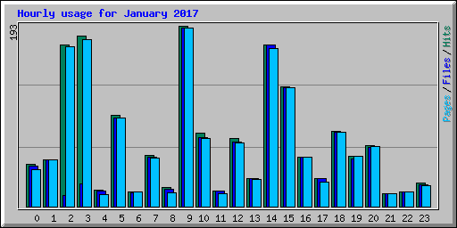 Hourly usage for January 2017