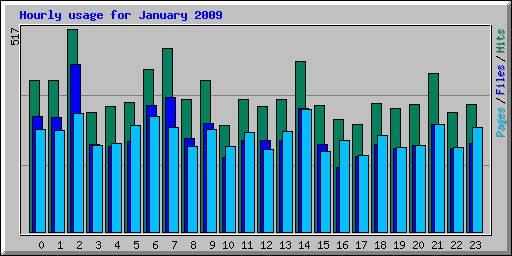 Hourly usage for January 2009