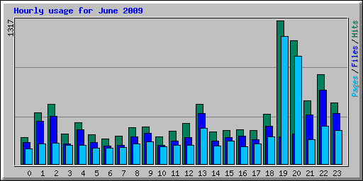 Hourly usage for June 2009