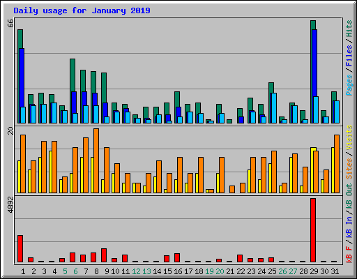 Daily usage for January 2019