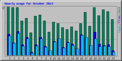 Hourly usage for October 2013