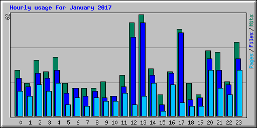 Hourly usage for January 2017