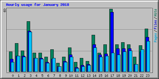 Hourly usage for January 2018