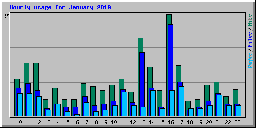 Hourly usage for January 2019