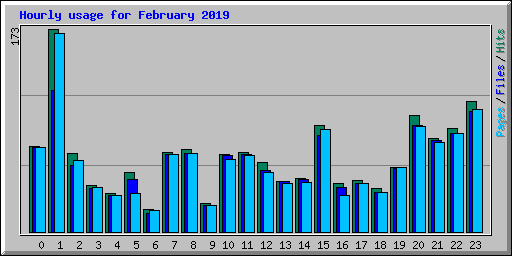 Hourly usage for February 2019