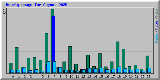 Hourly usage for August 2025