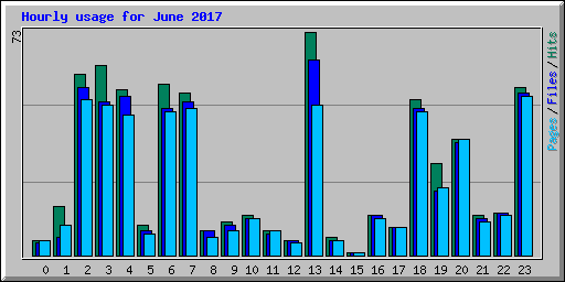 Hourly usage for June 2017