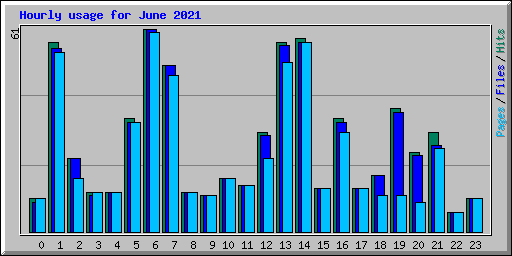 Hourly usage for June 2021