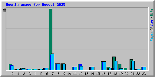 Hourly usage for August 2025