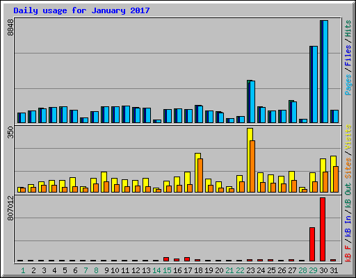 Daily usage for January 2017