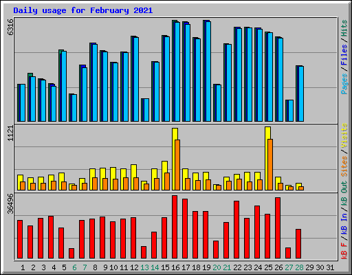 Daily usage for February 2021