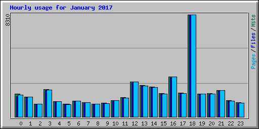 Hourly usage for January 2017