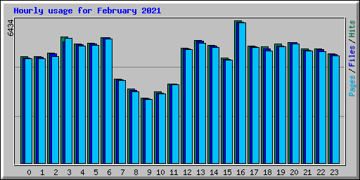 Hourly usage for February 2021