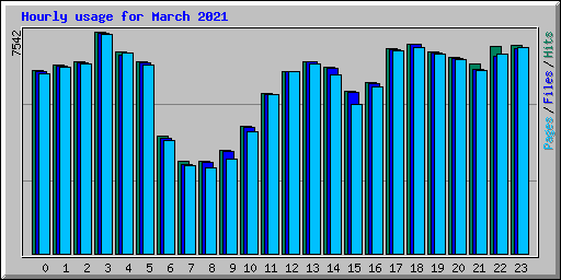 Hourly usage for March 2021
