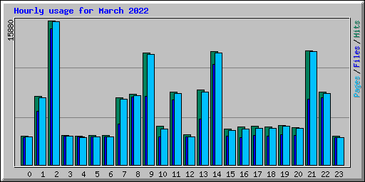 Hourly usage for March 2022