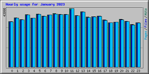 Hourly usage for January 2023