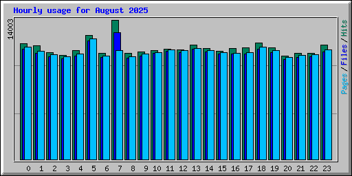 Hourly usage for August 2025