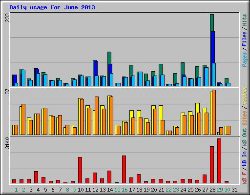 Daily usage for June 2013