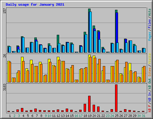 Daily usage for January 2021