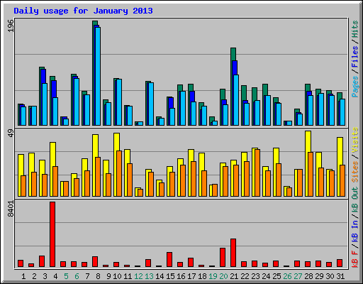 Daily usage for January 2013