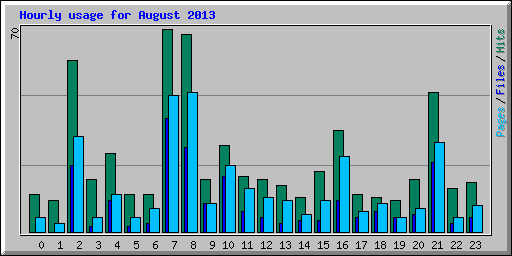 Hourly usage for August 2013