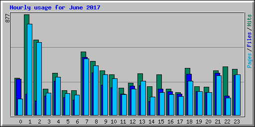 Hourly usage for June 2017