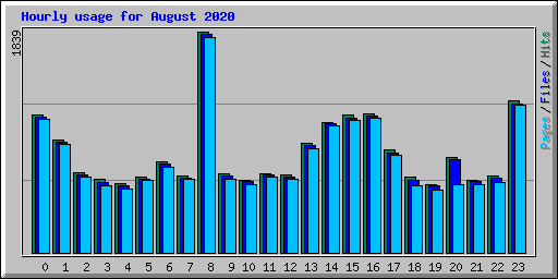 Hourly usage for August 2020