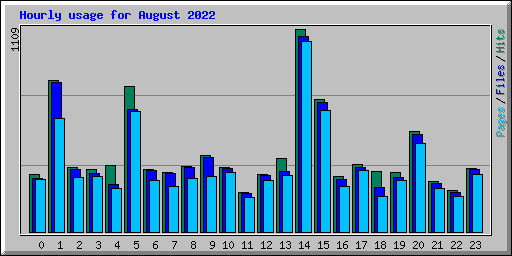 Hourly usage for August 2022