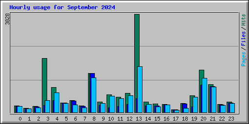 Hourly usage for September 2024
