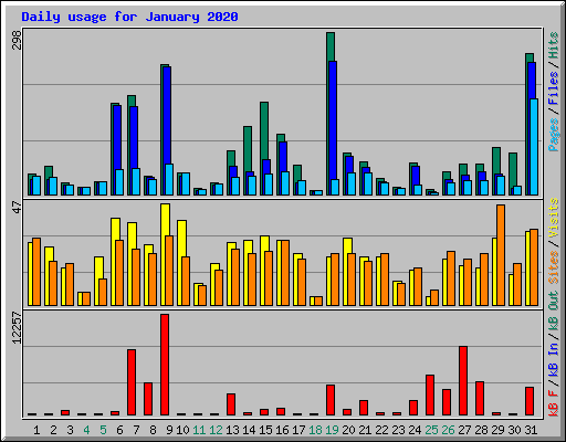 Daily usage for January 2020