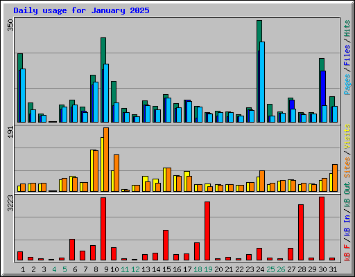 Daily usage for January 2025