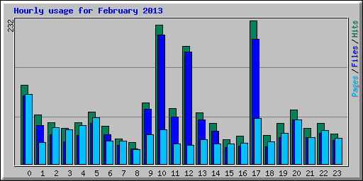 Hourly usage for February 2013