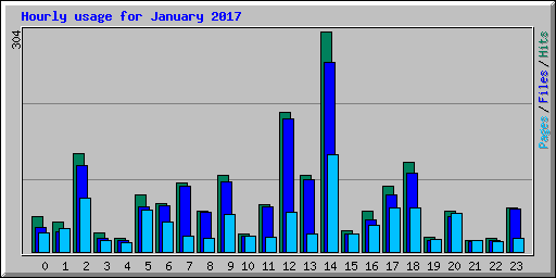 Hourly usage for January 2017