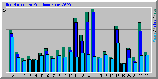 Hourly usage for December 2020