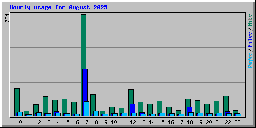 Hourly usage for August 2025