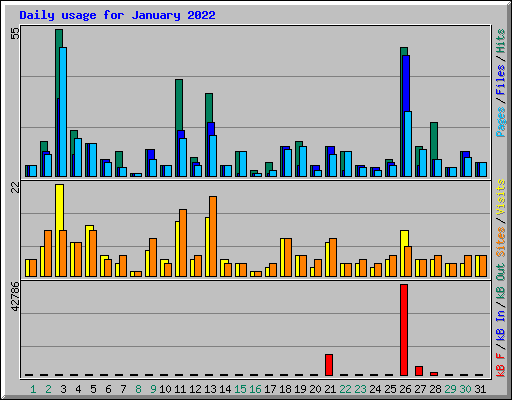 Daily usage for January 2022
