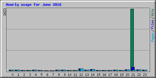 Hourly usage for June 2016