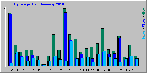 Hourly usage for January 2019