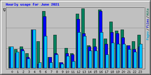 Hourly usage for June 2021