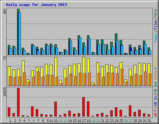 Daily usage for January 2013