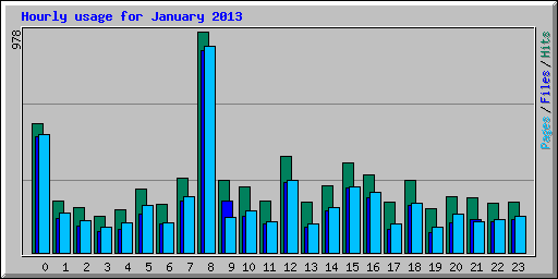 Hourly usage for January 2013