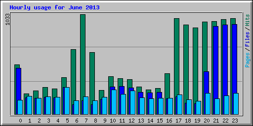 Hourly usage for June 2013