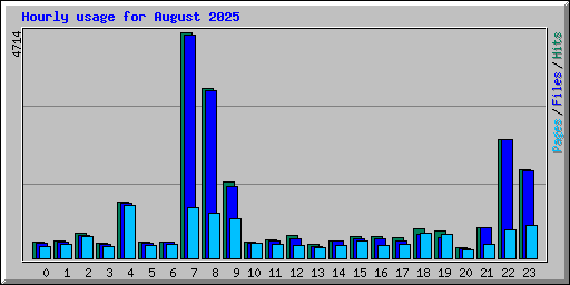Hourly usage for August 2025